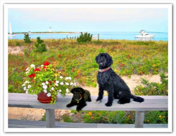 perro geoff neuhoff cerca de la playa Pinturas al óleo
